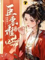 臣妻好看吗