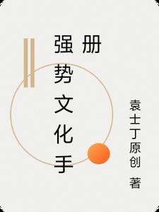 强势文化手册PDF