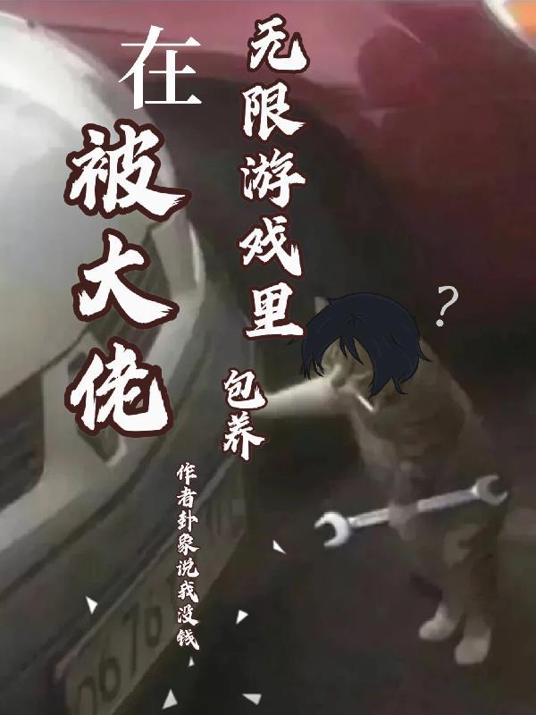 在无限游戏里被c