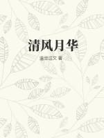 清风月影的意思是什么