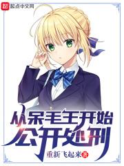 主角是呆毛王的