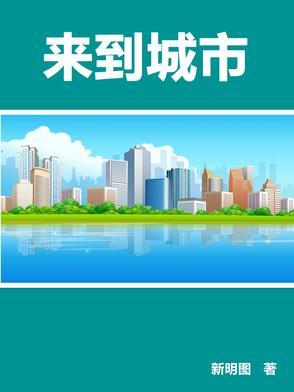 来到城市已经八百九十六天歌词是什么意思