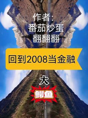 回到2008年的