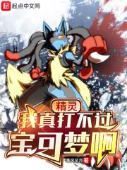 宝可梦对战精灵