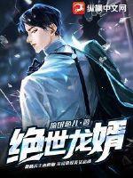 绝世龙婿陈玄完本