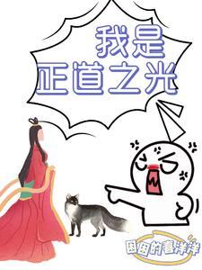 正道之光的意思