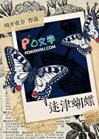 迷津蝴蝶讲的什么