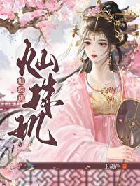 灿珠玑讲的什么