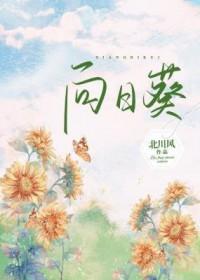 向日葵怎么辨别方向?