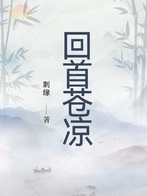 回首苍凉在线阅读