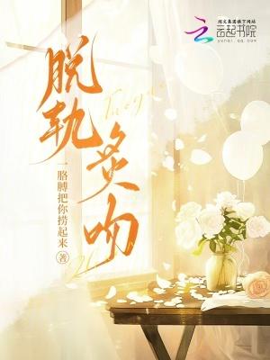 脱轨内容