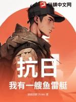 抗战我有一个团免费阅读