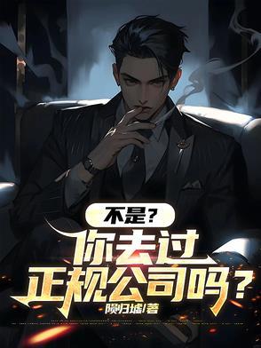 不正规的小公司要去吗