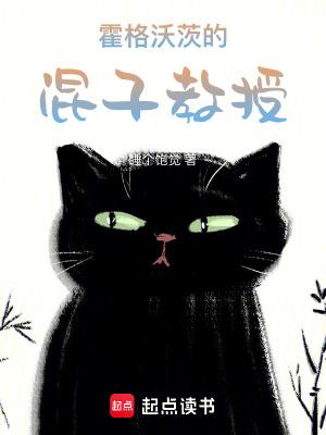 霍格沃茨的小教授