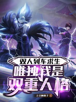 双人车厢