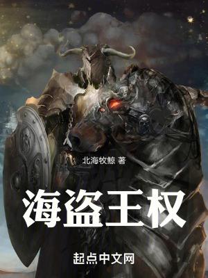 海盗王权校对版