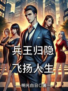 兵王退伍混官场的