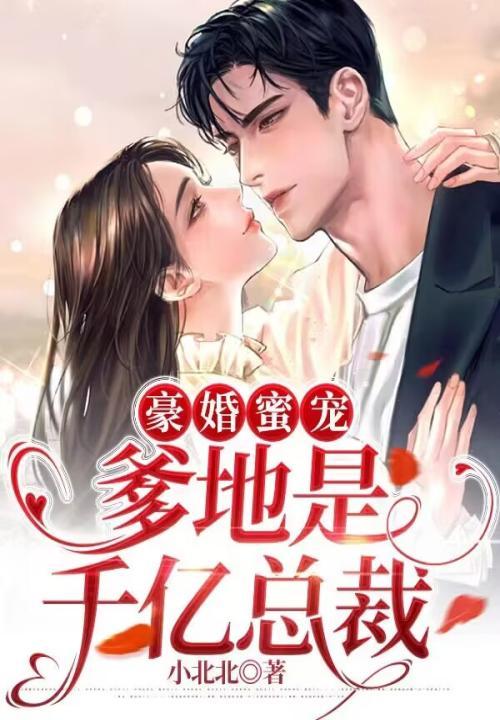 豪门蜜宠总裁爹地请负责