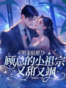 顾总的小祖宗惊讽全球