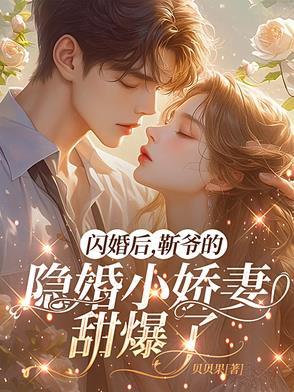 闪婚靳少宠妻无度