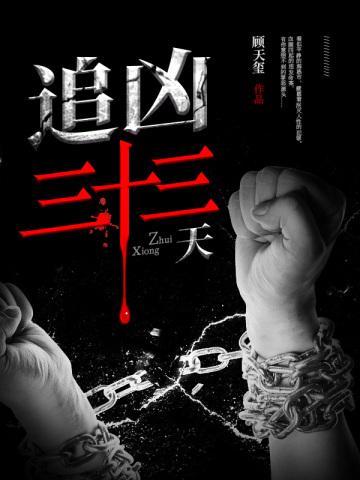 追凶三十三天免费阅读