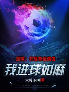 球门的大小