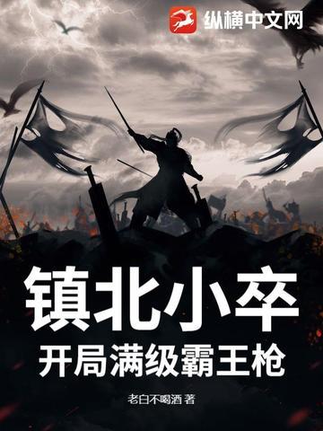 镇北王什么意思