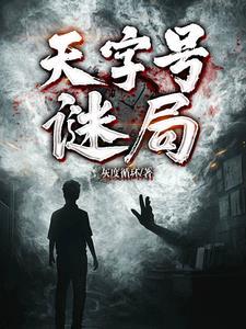 天字号特工电视连续剧剧情介绍