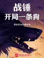 主角有战锤全面战争系统的