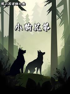 小狗哥哥解说