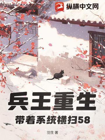 带系统的兵王
