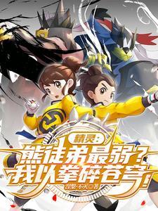 武道熊师携带