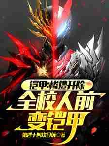 铠甲变身合体
