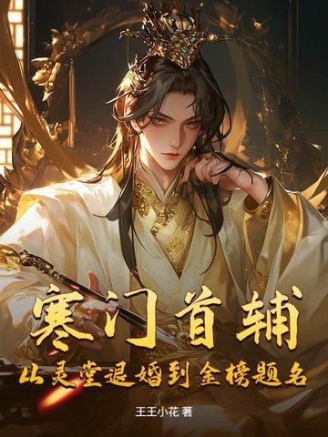 寒门首辅写的怎么样