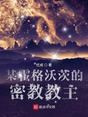 某霍格沃茨的魔文教授起点