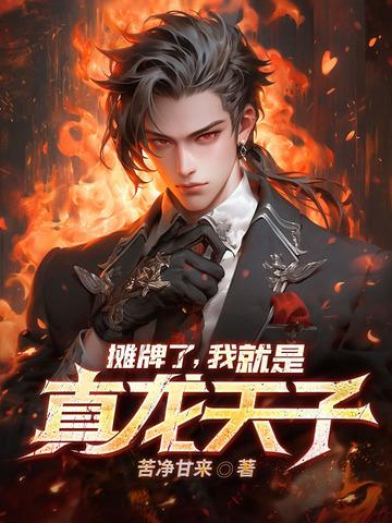 摊牌了我是崇祯小龙