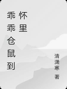 仓鼠乖还是熊乖