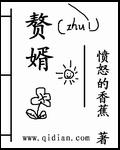 赘婿在线观看