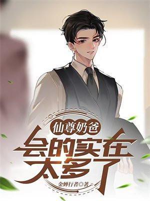 仙尊奶爸是谁