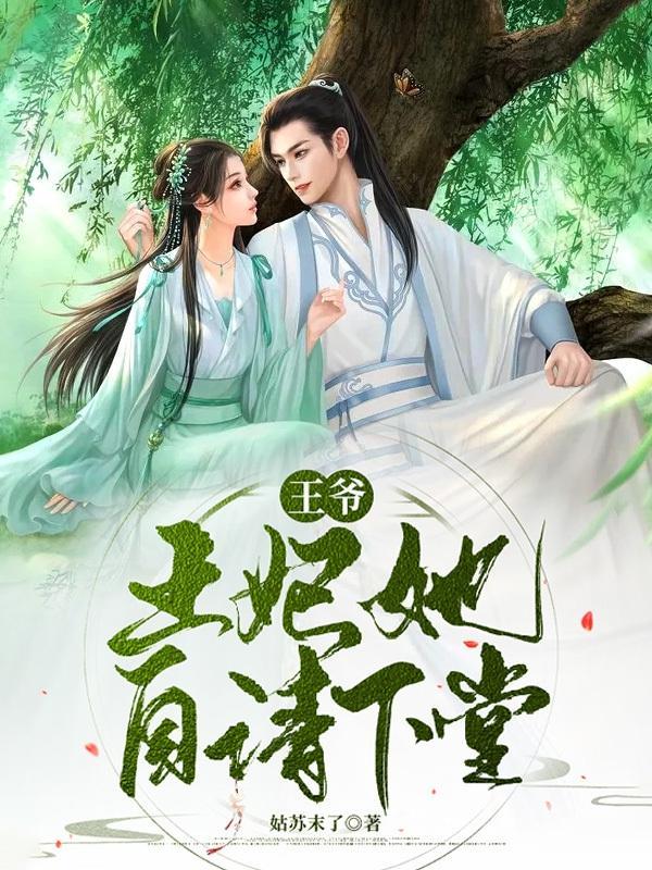 王爷王妃她去了