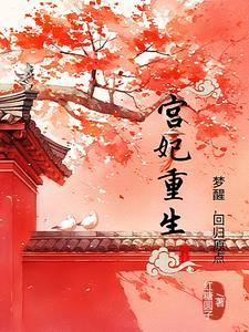 重生宫妃上位记