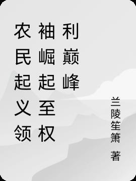 从农民到省委书记有声