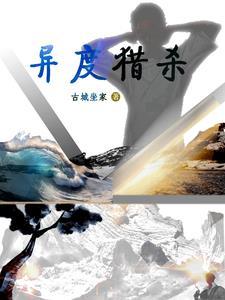 异度 wiki