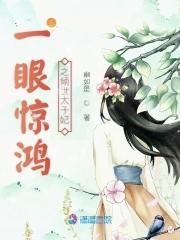 一眼惊鸿解释