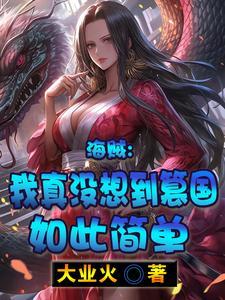 海贼我真的不知道剧情