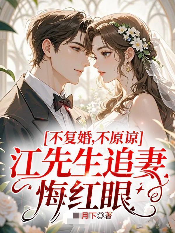 江先生情深不渝免费阅读