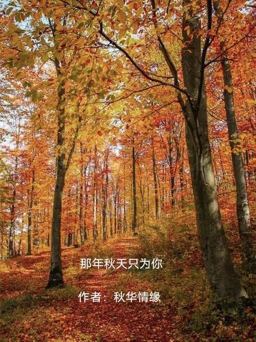 那年秋天