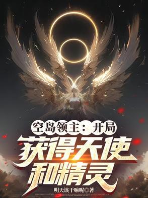 有没有像空岛大领主的
