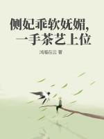 侧妃啥意思