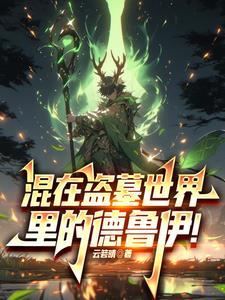 混在盗墓世界里的德鲁伊3q